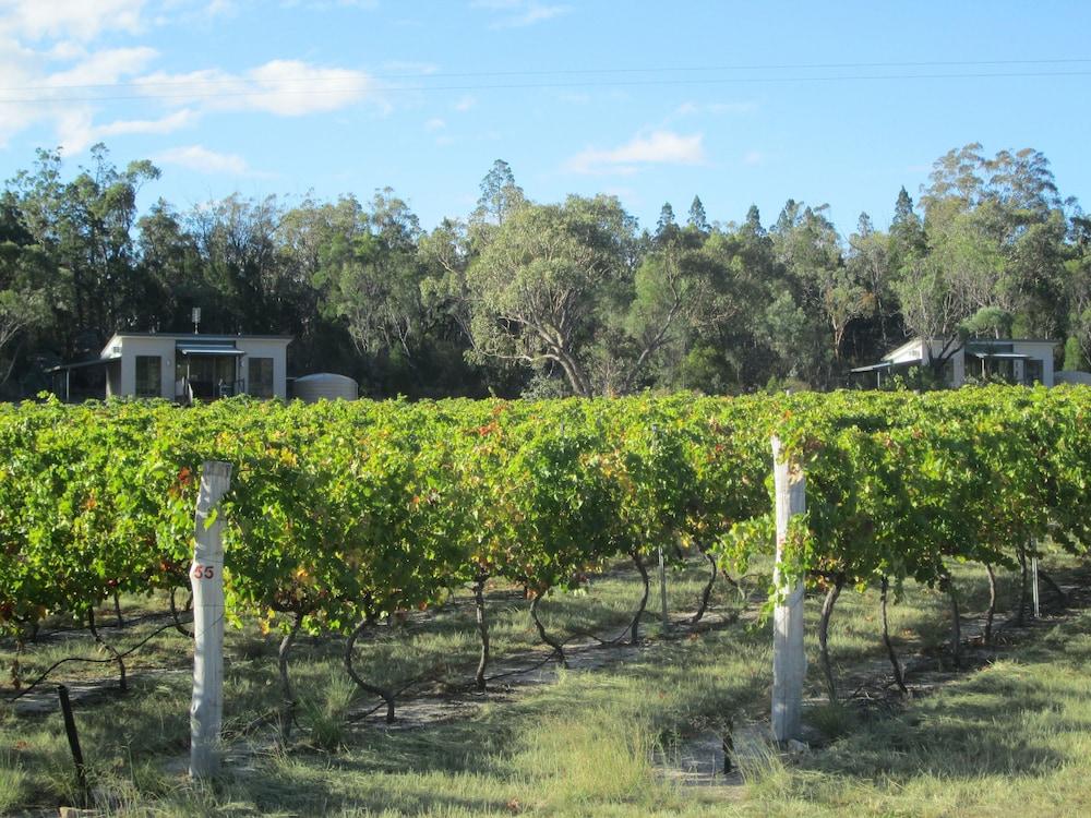 Just Red Wines Cabins