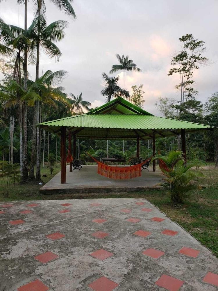 Hotel Pulmon Del Mundo