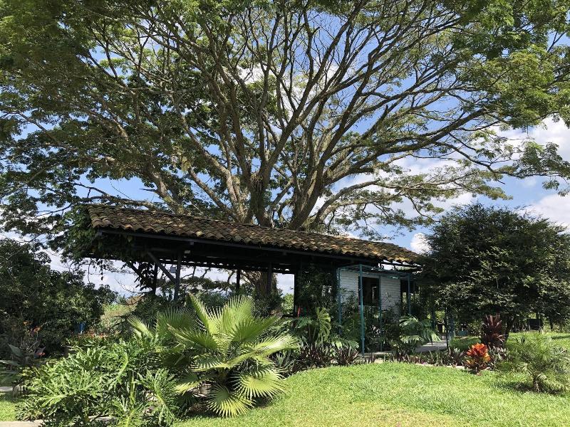 Finca Brasilia