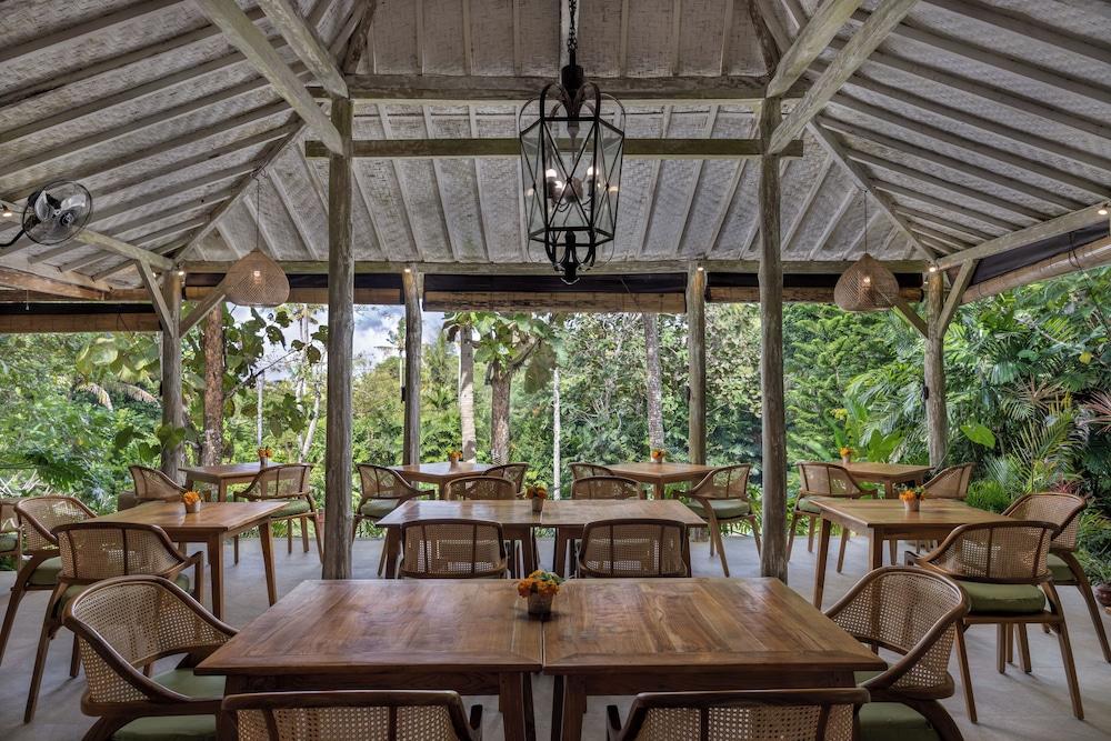 The Mesare Resort