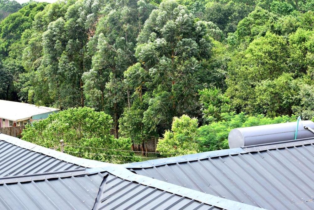 Malava Forest Lodge