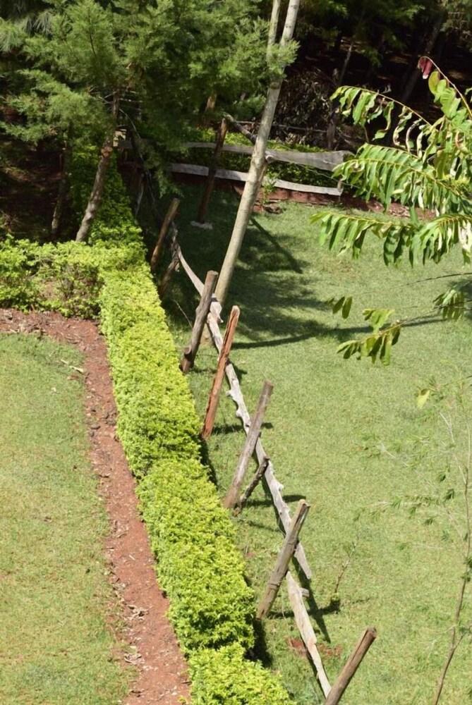 Malava Forest Lodge