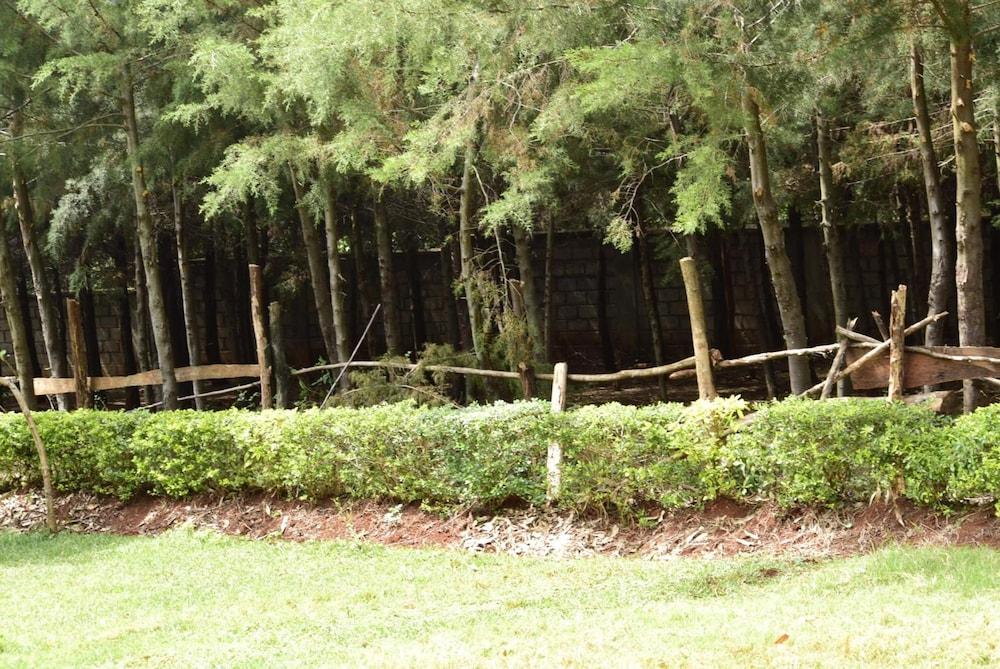 Malava Forest Lodge