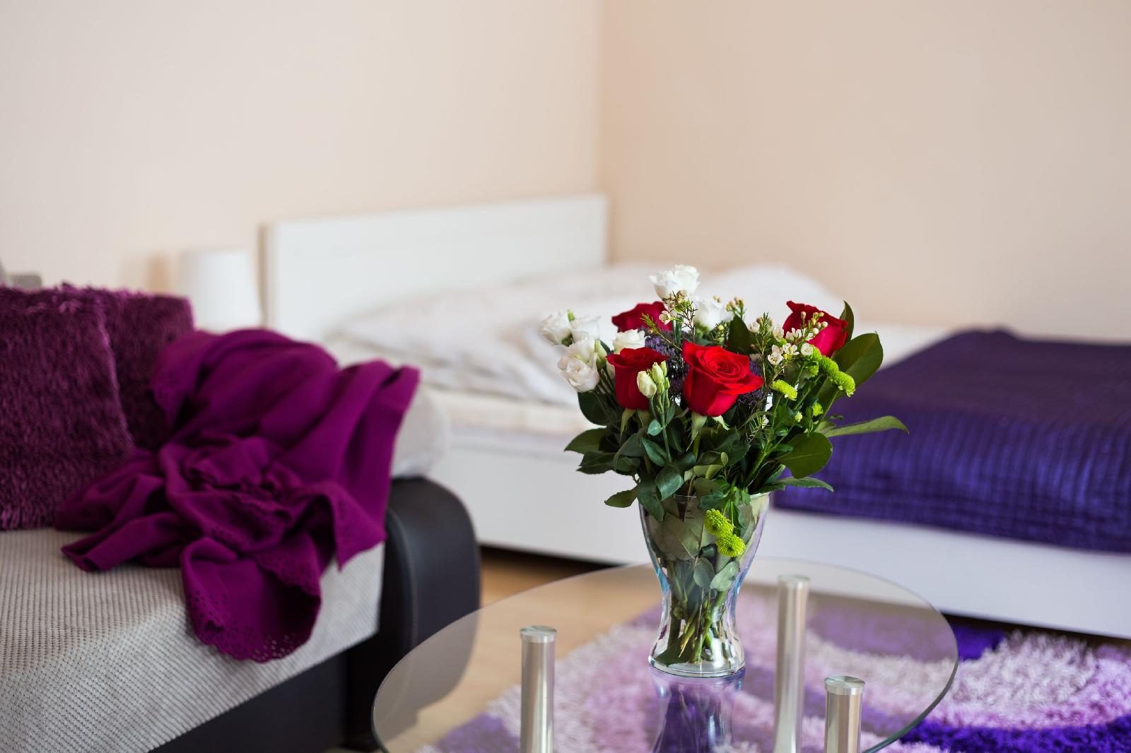 Aparthouse Apartamenty Sosnowiec