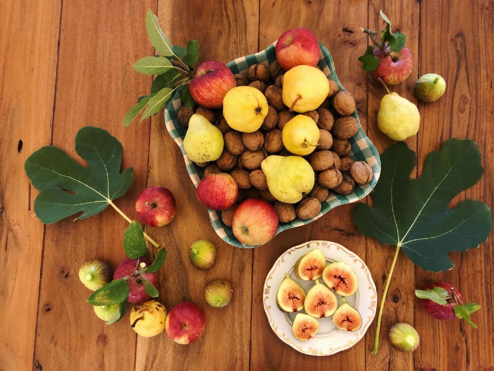 The Houses of History Anno 1830