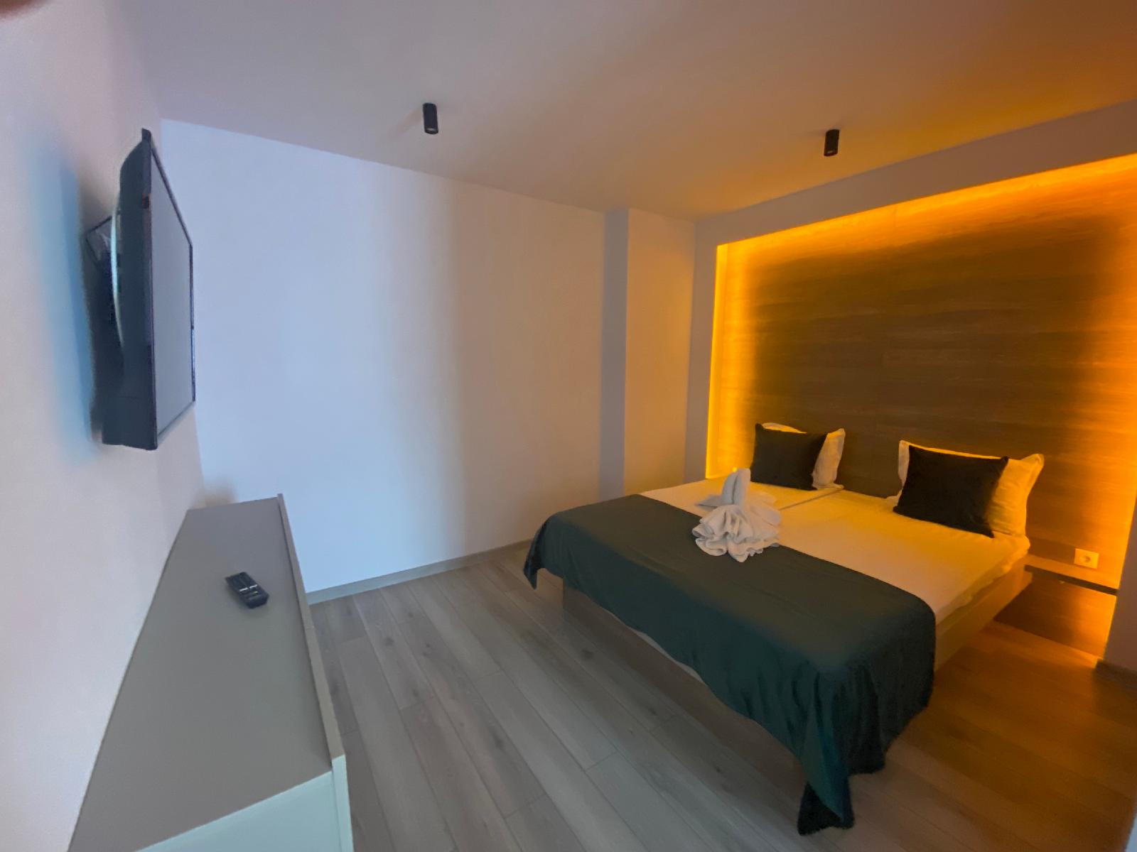 Vila Ursul Negru