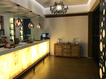 Hotel Edma