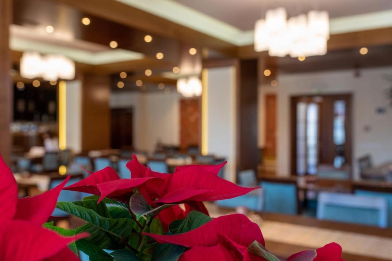 Hotel Buchenland