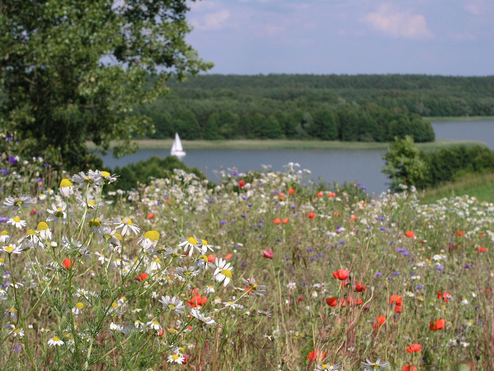 Kamienny Ogród Holiday Park