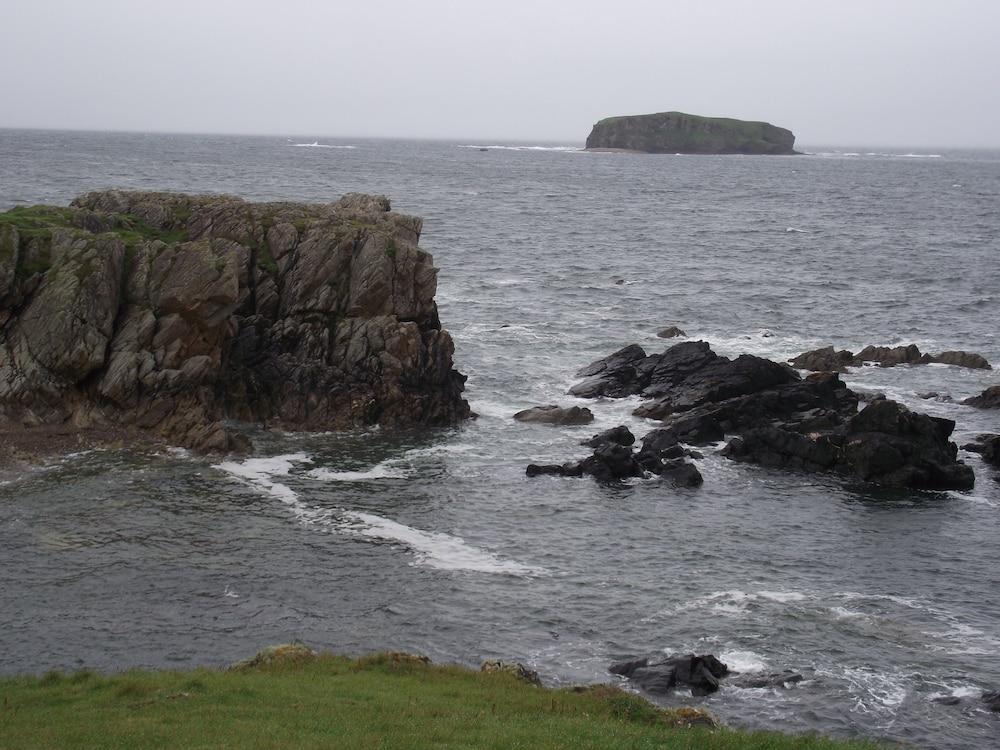 Madra Rua Organic Accommodation