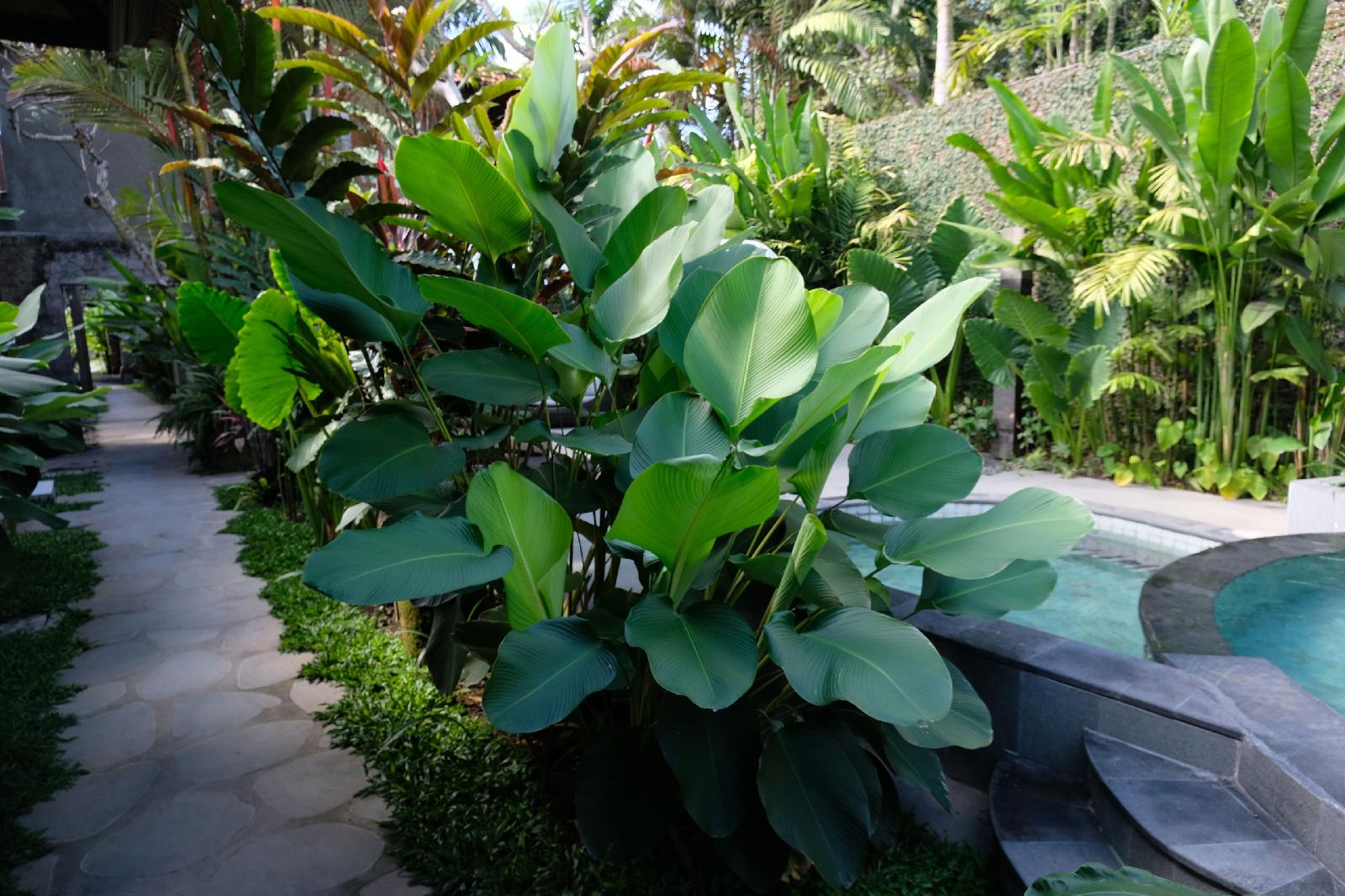 JAPA Suites & Villas