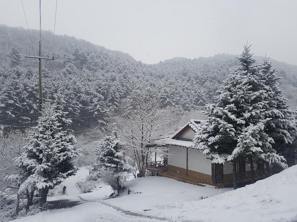 Hwaya Mountain Pension
