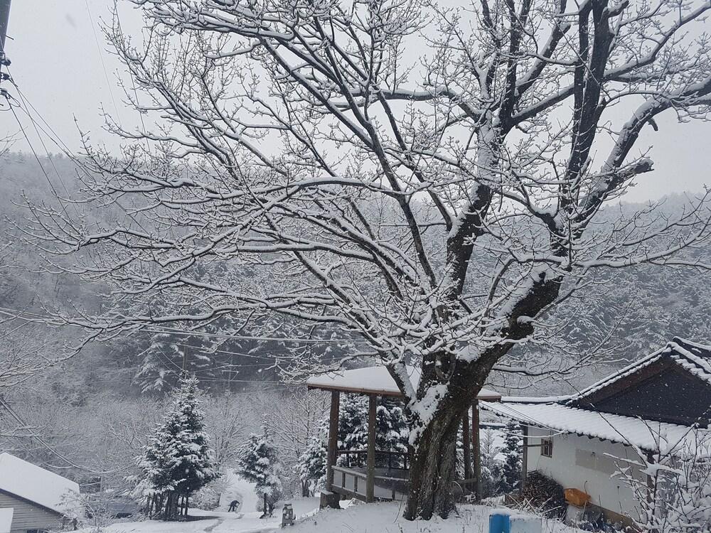 Hwaya Mountain Pension