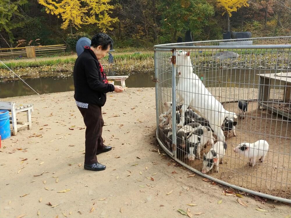 Boryeong Laon Pension