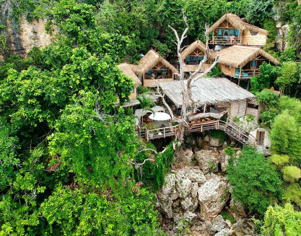 The Korowai