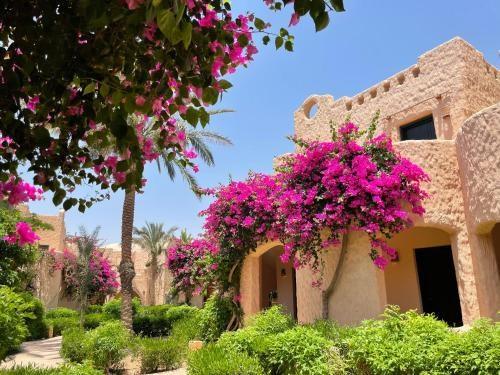 TH Blue Lagoon Marsa Alam