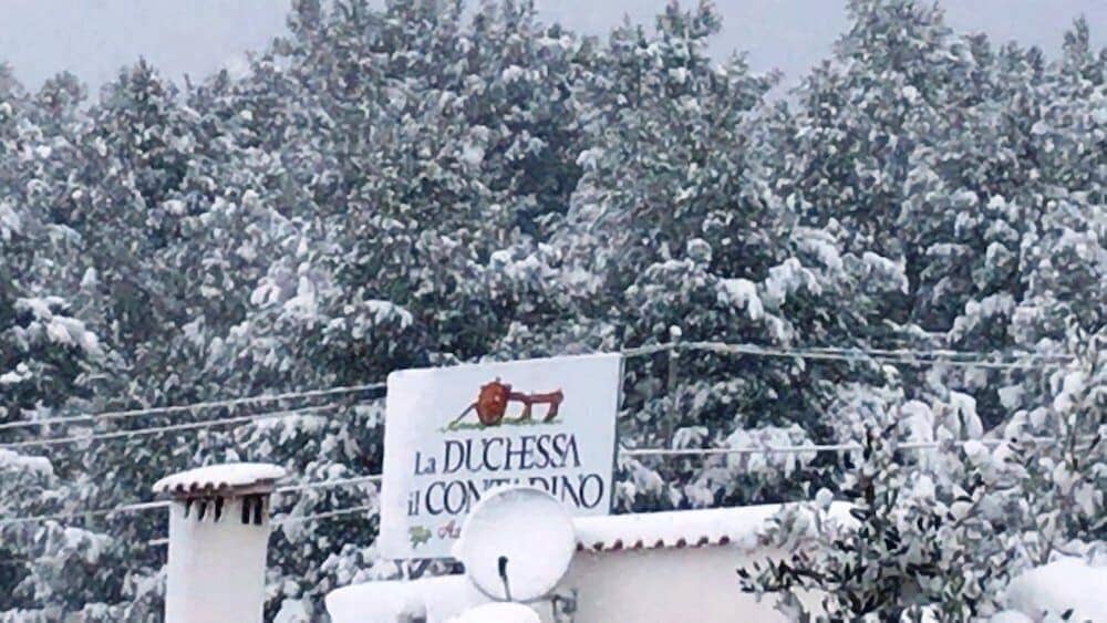 Agriturismo La Duchessa E Il Contadino