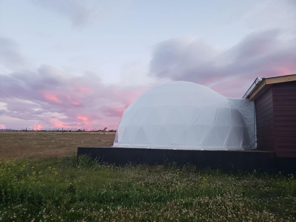 Garden Domes