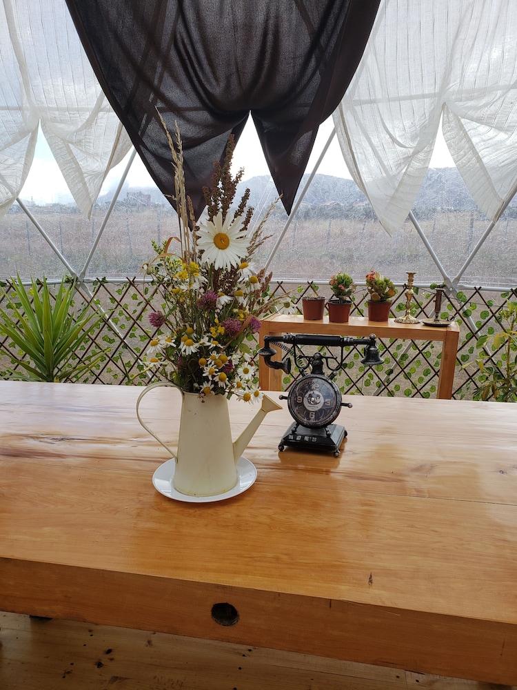Garden Domes
