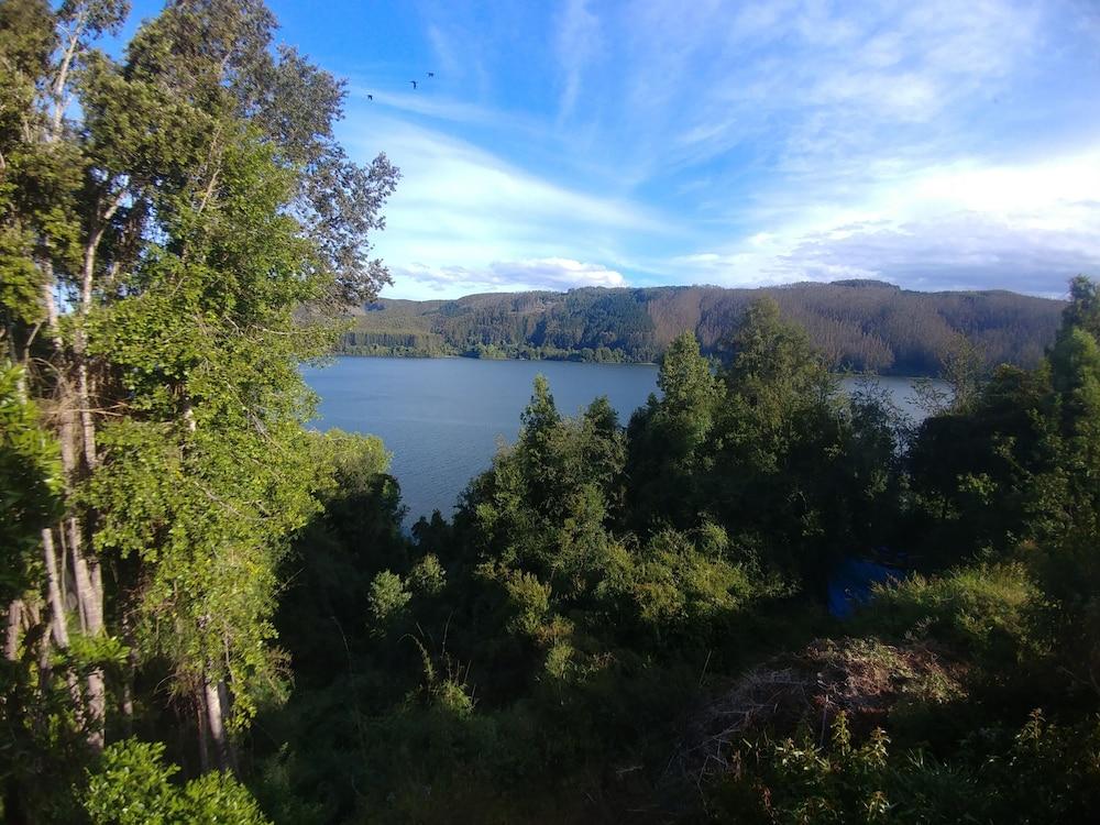 La Rueda Del Chucao
