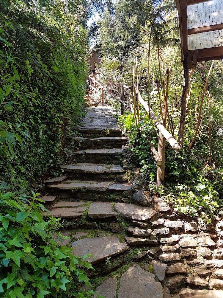 La Rueda Del Chucao