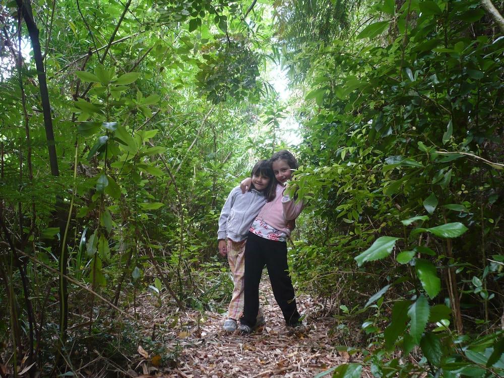 La Rueda Del Chucao