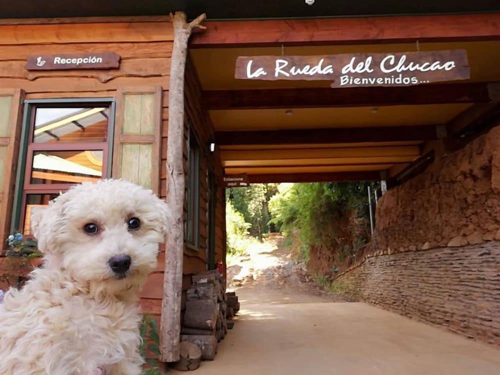 La Rueda Del Chucao