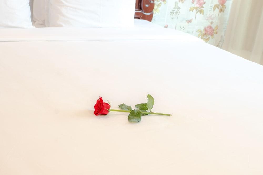 Sun And Sea Leisure Hotel