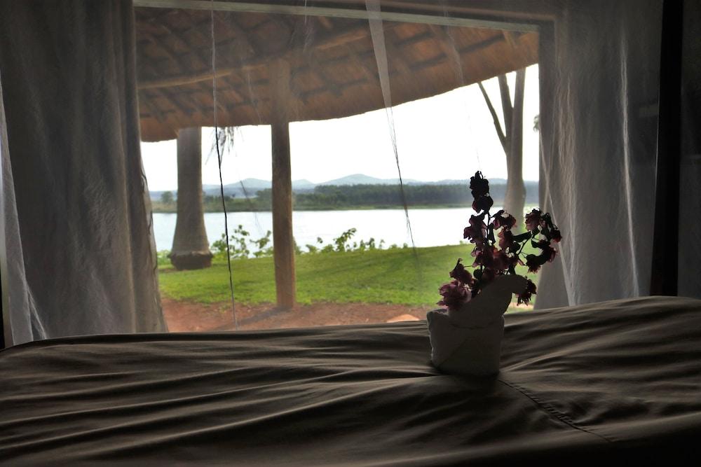 The Haven