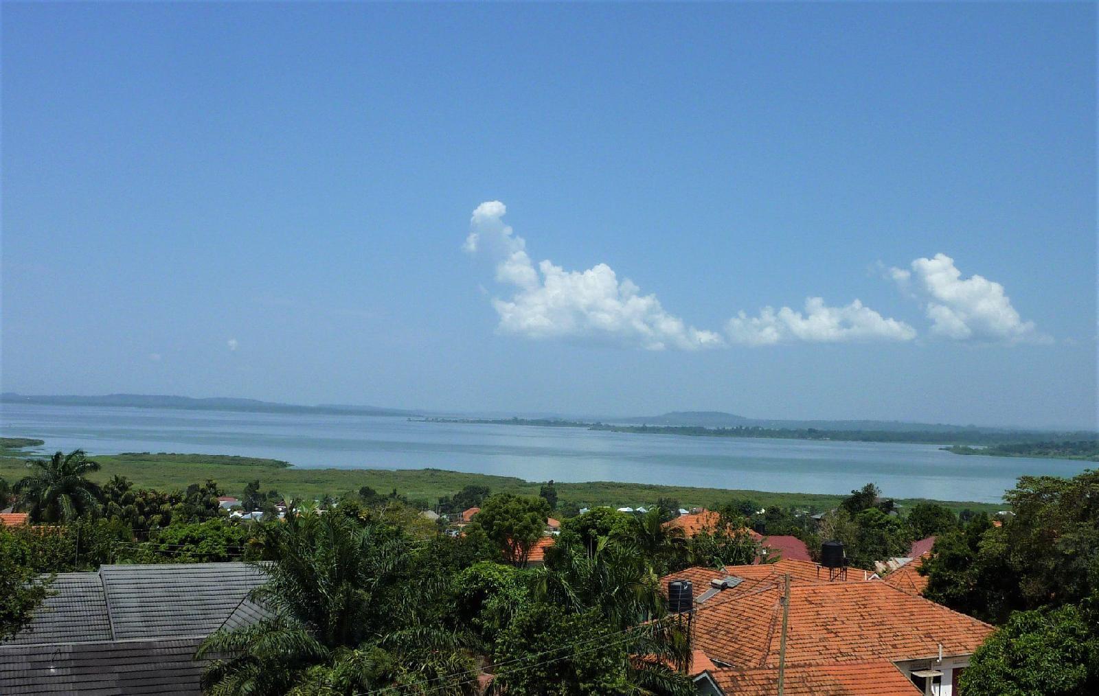 Acacia Boutique Hotel