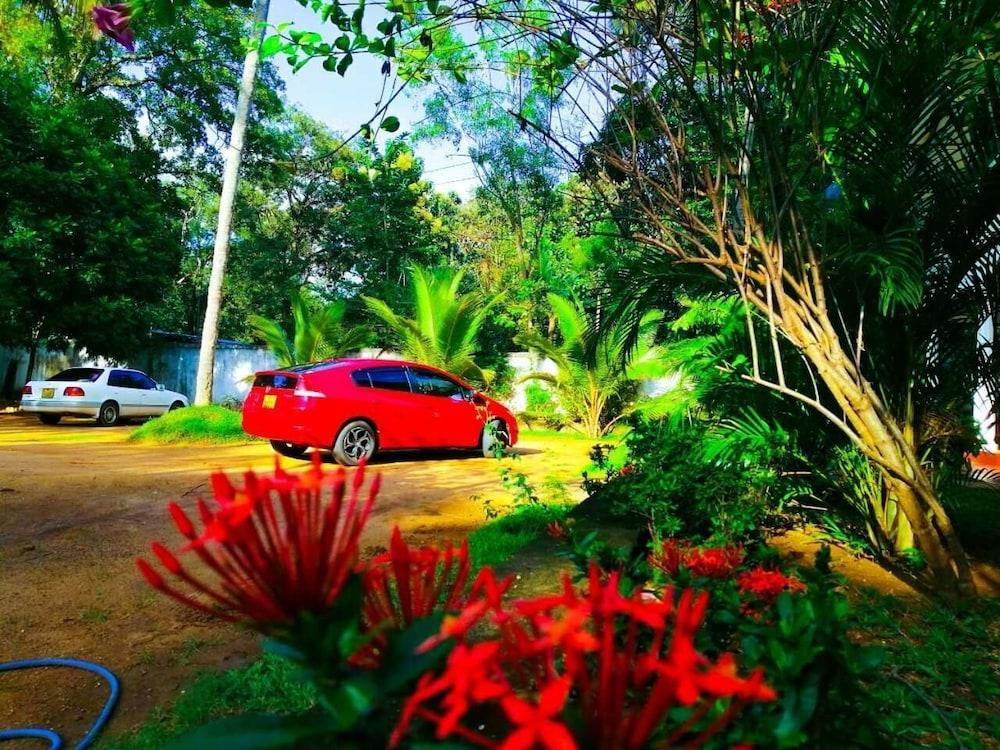 New Sigiri Terrace Hotel