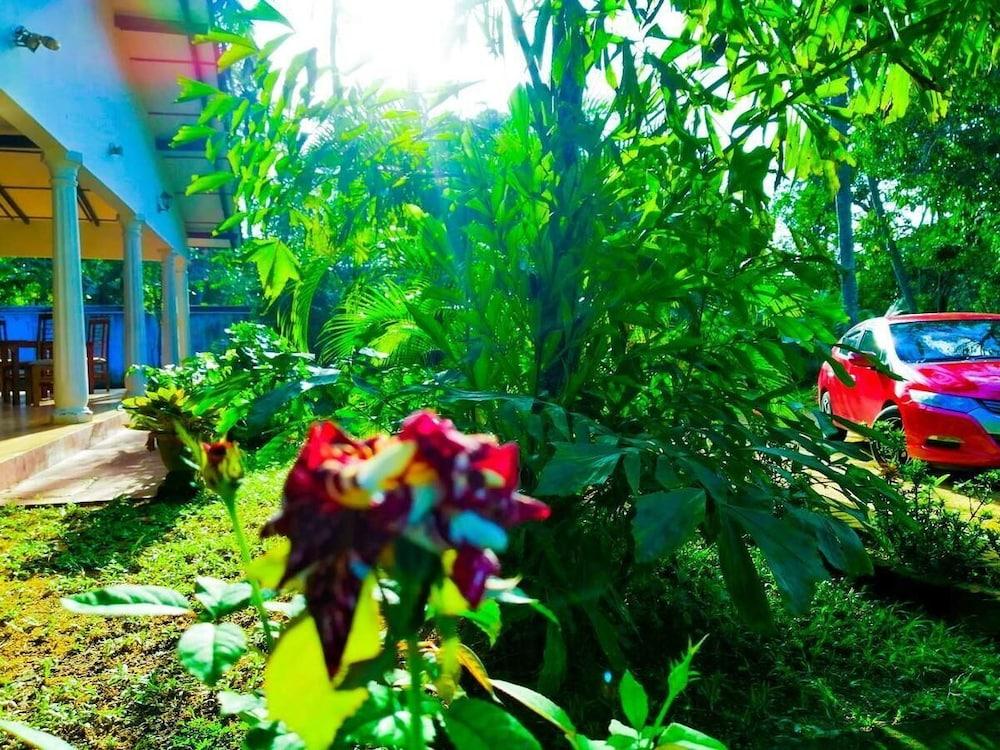New Sigiri Terrace Hotel