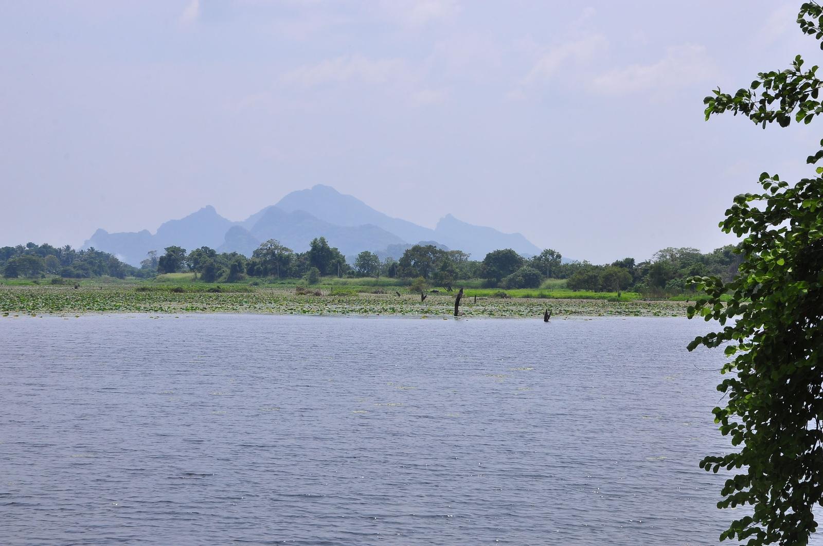 Wish Prabha Lake View Lodge