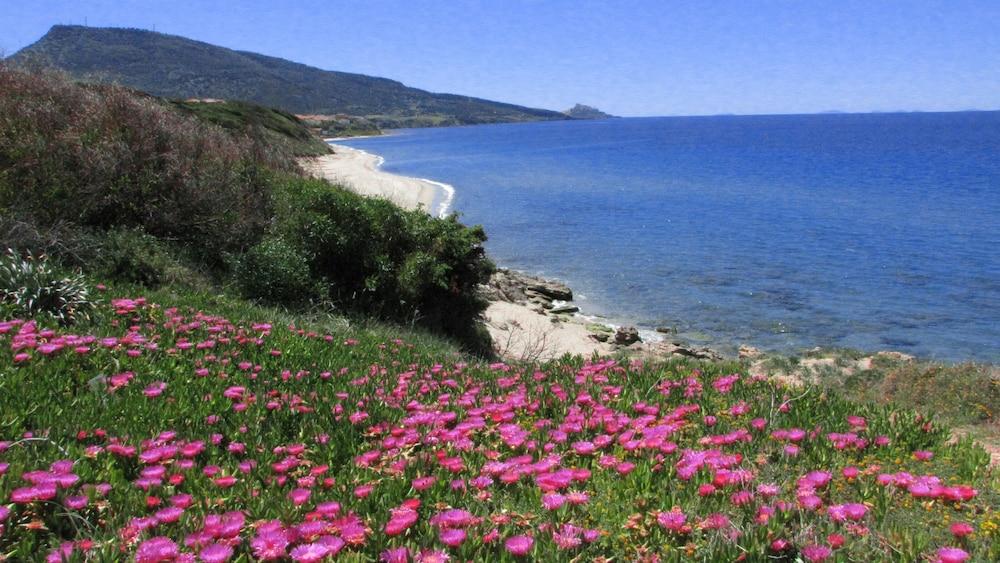 Le Terrazze Sul Mare
