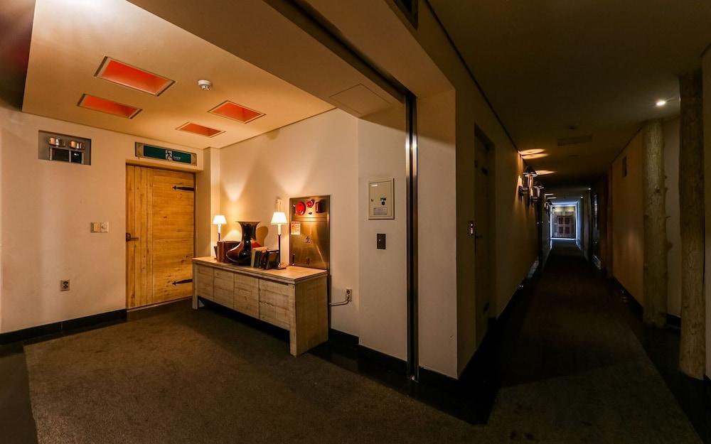 Ring Hotels In Nivelungen