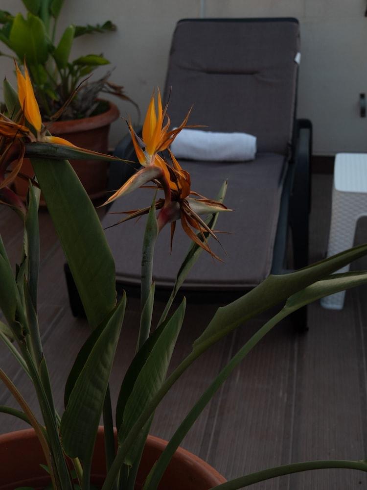 Sunstone Boutique Guest House