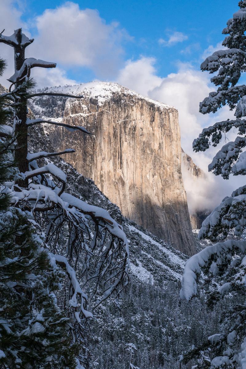 Hampton Oakhurst Yosemite