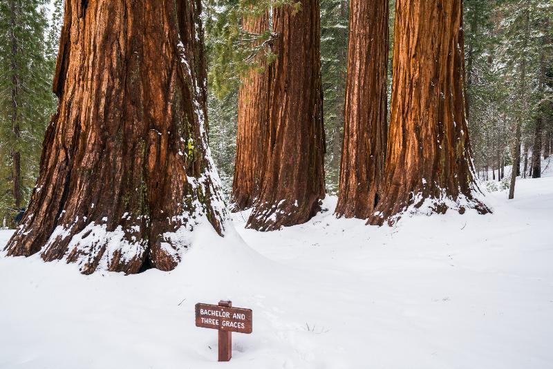 Hampton Oakhurst Yosemite