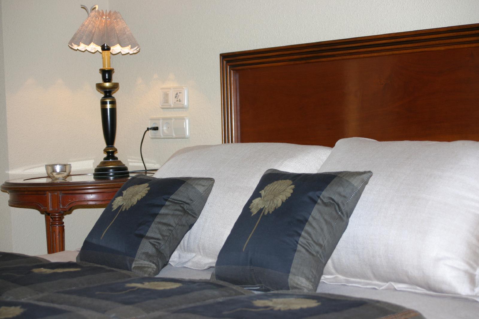 Hotel Arcea Palacio De Las Nieves