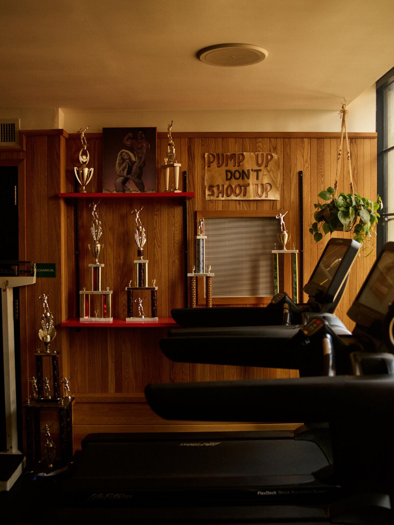 Ace Hotel Brooklyn