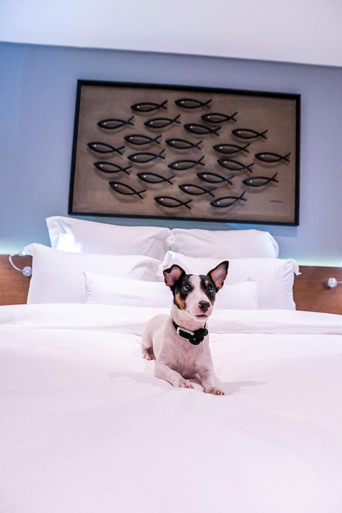Coro Hotel