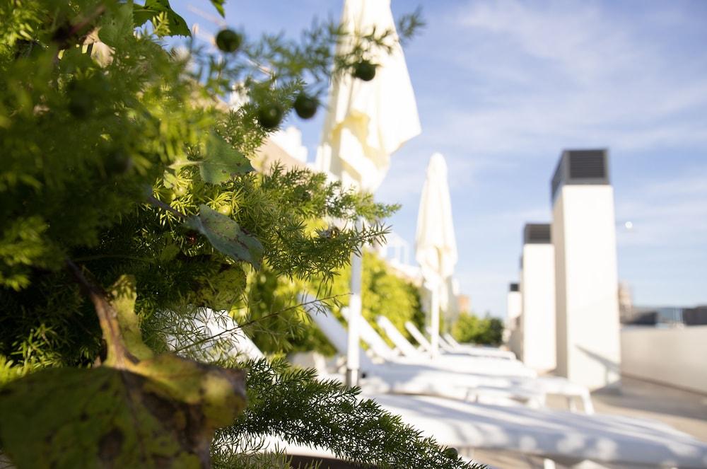 Nqn Aparts & Suites Sevilla