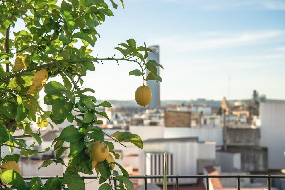 Nqn Aparts & Suites Sevilla
