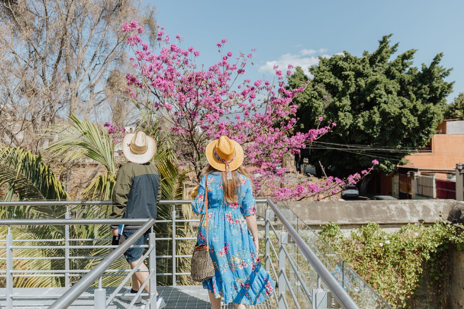 Majagua Hotel Boutique