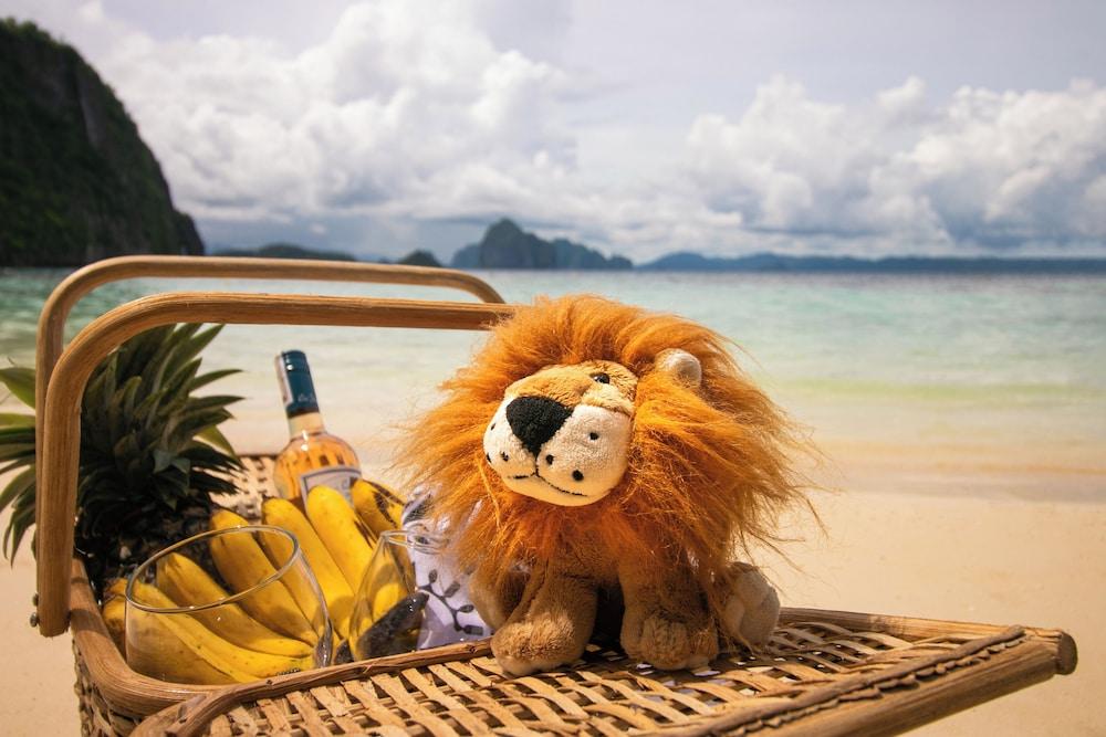The Funny Lion El Nido