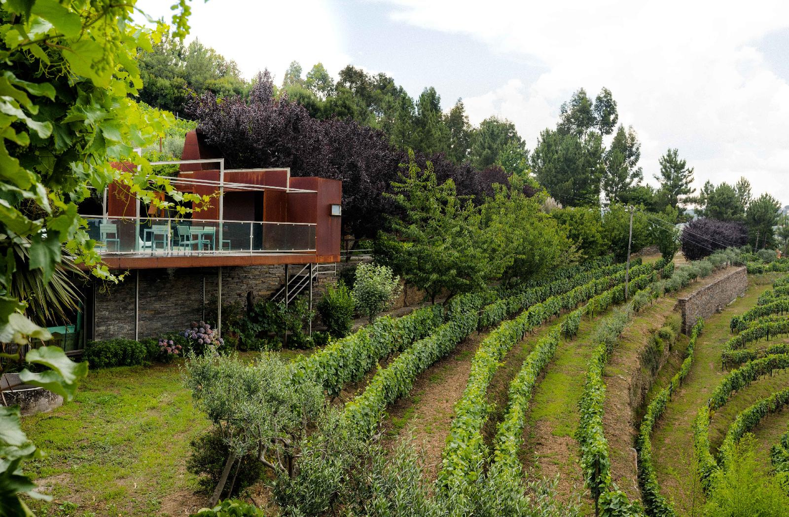 Casas de Campo Vila Marim