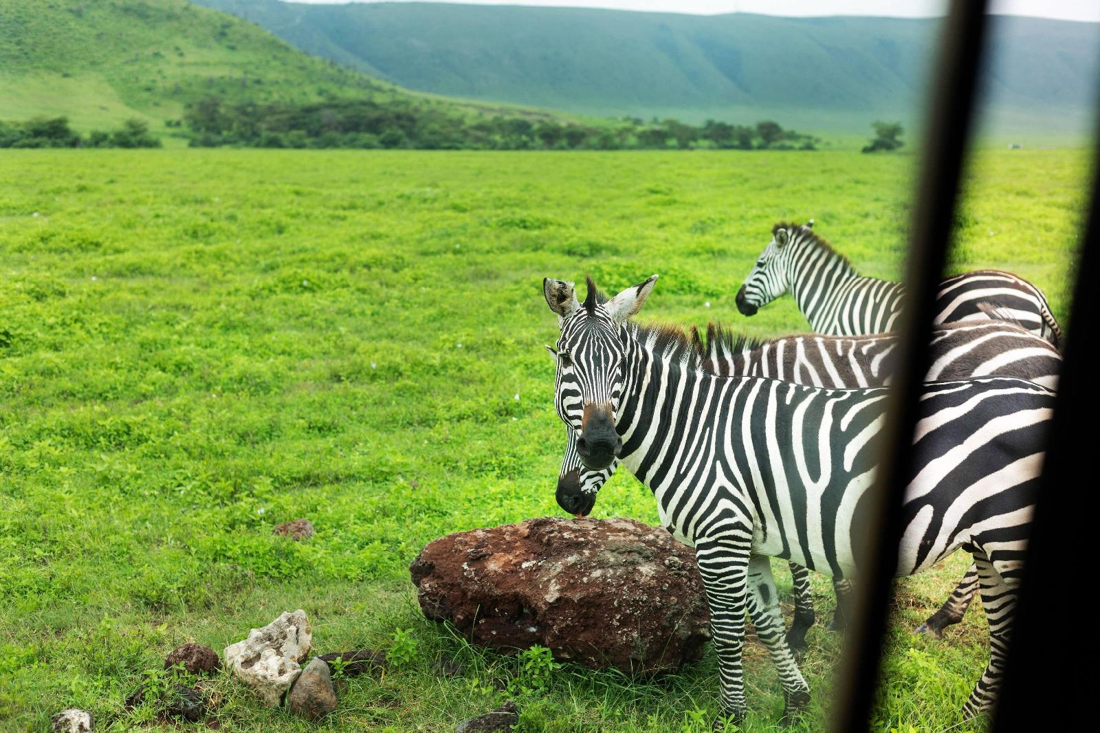 Ngorongoro Lodge Member of Melia Collection