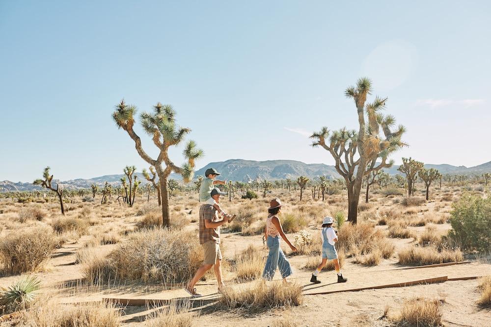 Autocamp Joshua Tree
