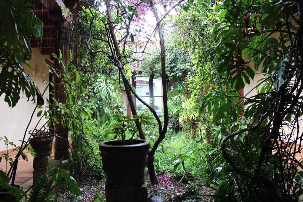 Parador Margarita