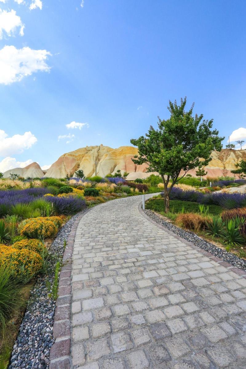Ajwa Cappadocia